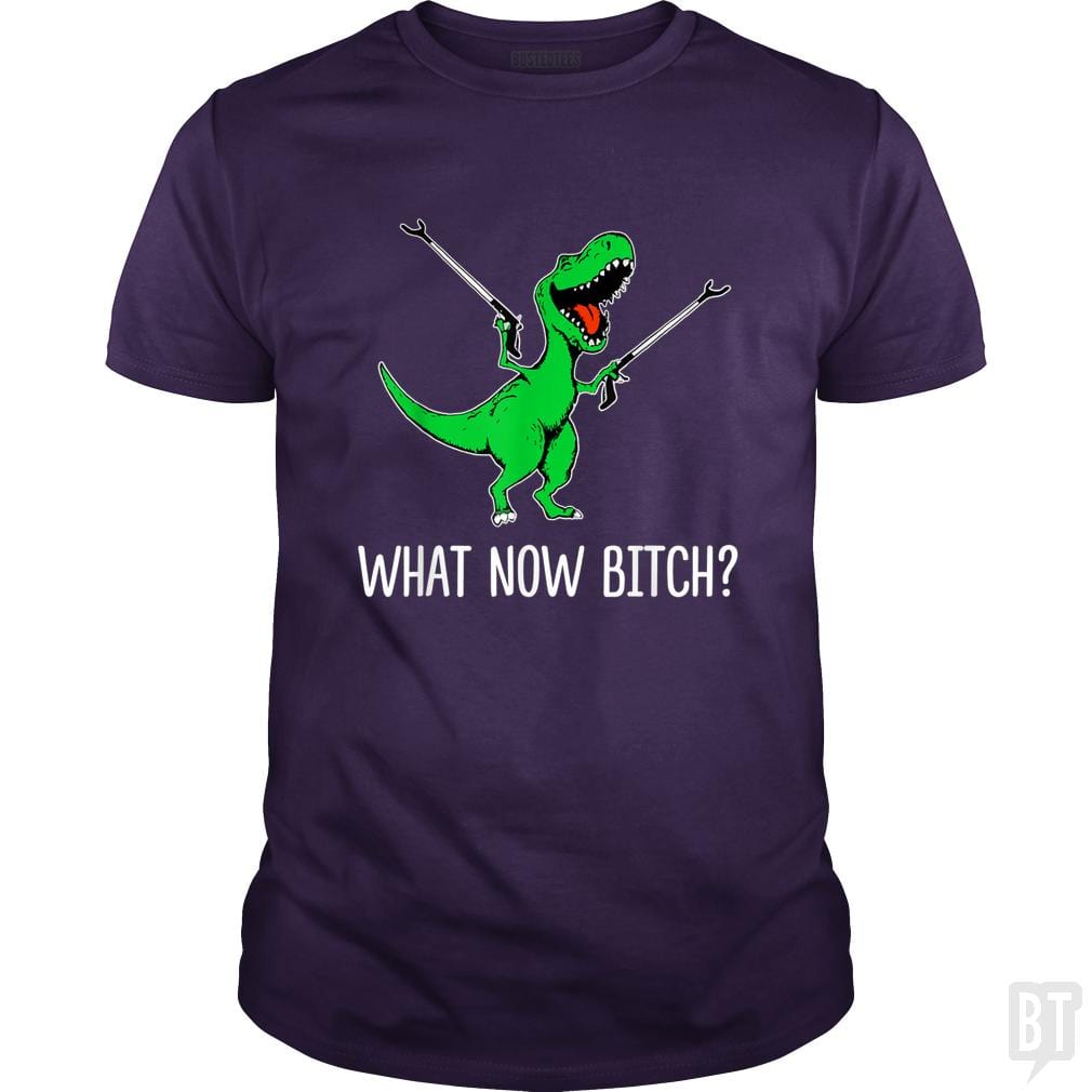 What Now Bitch Funny T-Rex | BustedTees.com